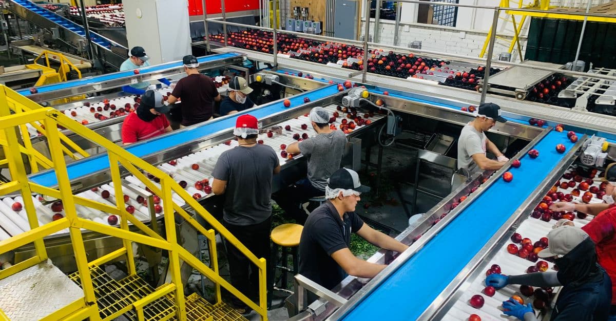 Automating a Broken Process Just Makes the Mess Faster