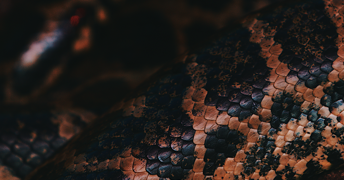 Understanding VIPER architecture in detail
